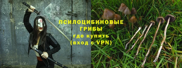 сатива Алексеевка