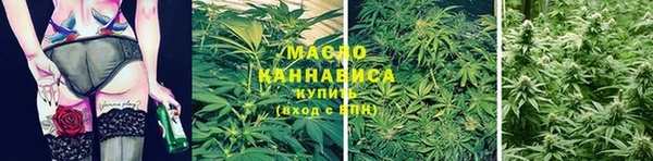 сатива Алексеевка