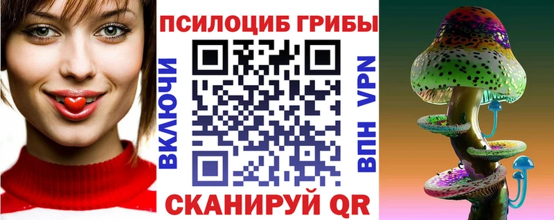 Псилоцибиновые грибы Psilocybe Алексин